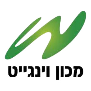 וינגייט חדש